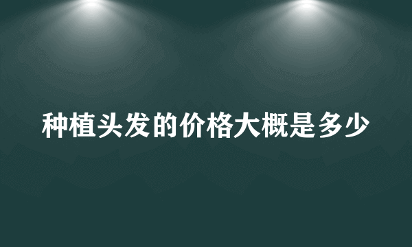 种植头发的价格大概是多少