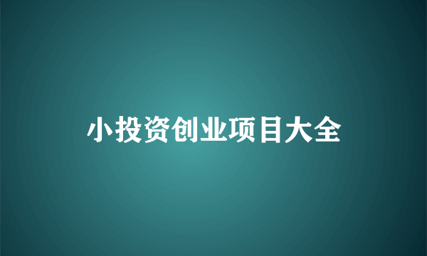 小投资创业项目大全