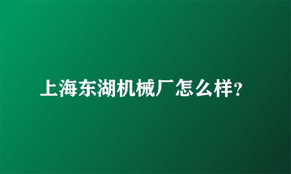 上海东湖机械厂怎么样？