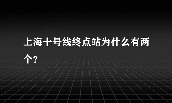 上海十号线终点站为什么有两个？