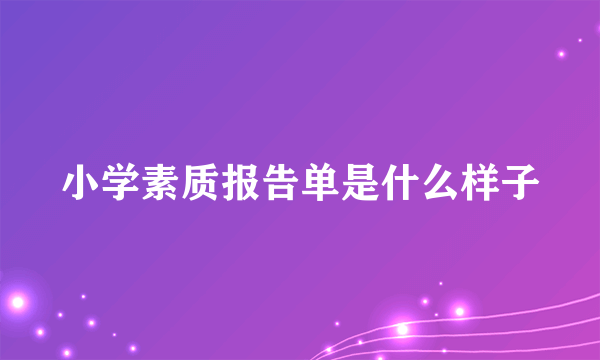 小学素质报告单是什么样子