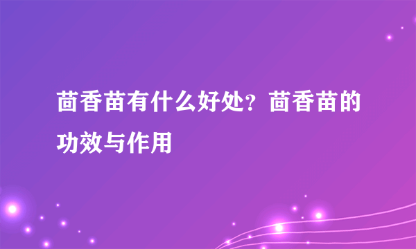 茴香苗有什么好处？茴香苗的功效与作用