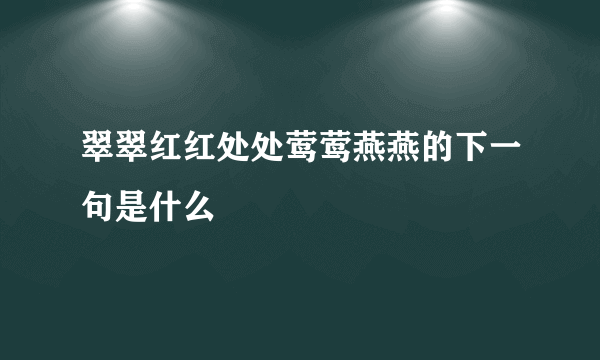 翠翠红红处处莺莺燕燕的下一句是什么