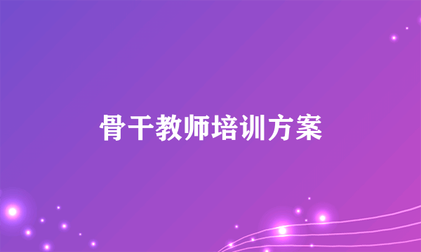 骨干教师培训方案