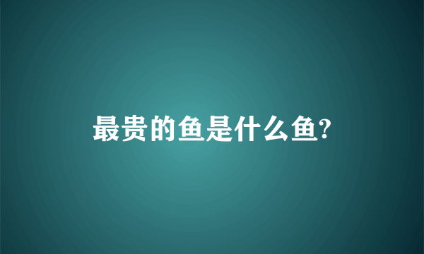 最贵的鱼是什么鱼?