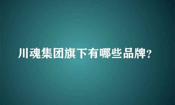 川魂集团旗下有哪些品牌？