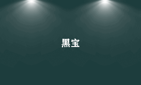 黑宝