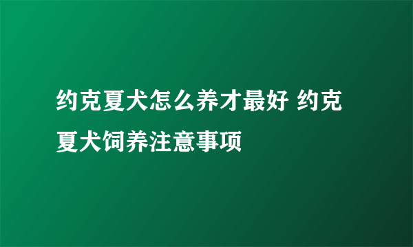 约克夏犬怎么养才最好 约克夏犬饲养注意事项