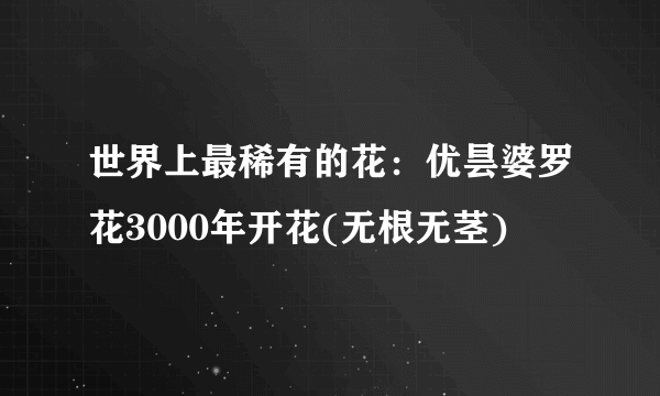 世界上最稀有的花：优昙婆罗花3000年开花(无根无茎)