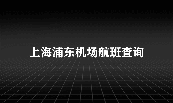 上海浦东机场航班查询