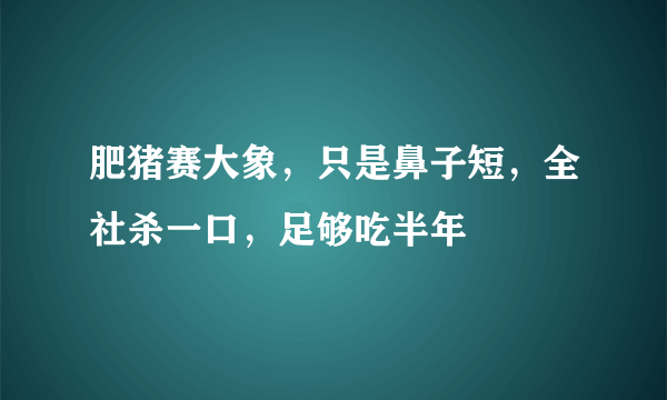 肥猪赛大象，只是鼻子短，全社杀一口，足够吃半年