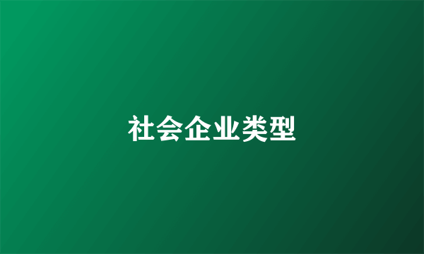 社会企业类型