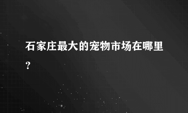 石家庄最大的宠物市场在哪里？