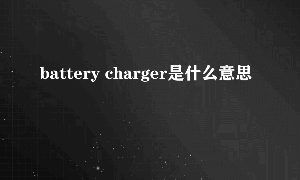 battery charger是什么意思