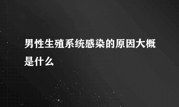 男性生殖系统感染的原因大概是什么