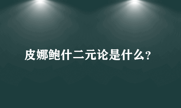 皮娜鲍什二元论是什么？