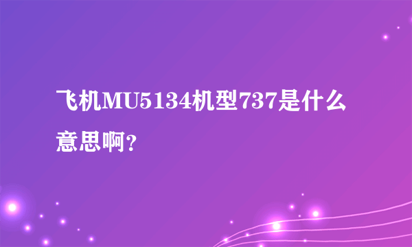 飞机MU5134机型737是什么意思啊？