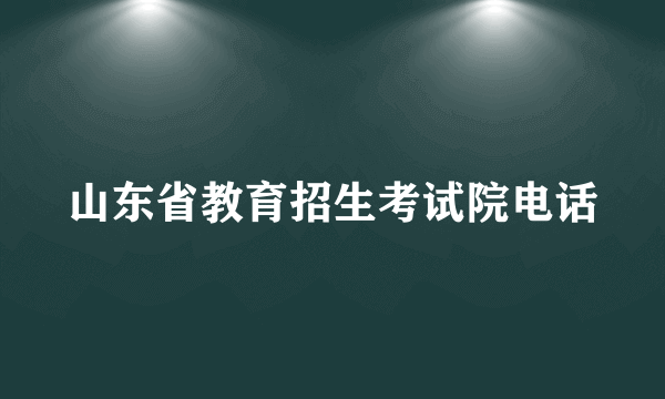 山东省教育招生考试院电话