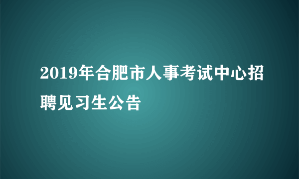 2019年合肥市人事考试中心招聘见习生公告