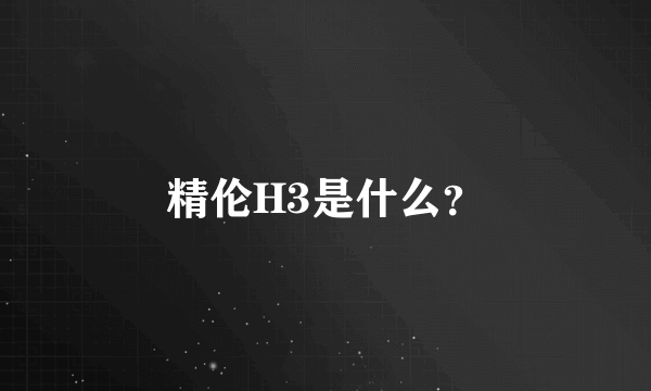 精伦H3是什么？