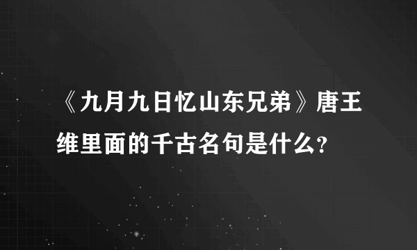 《九月九日忆山东兄弟》唐王维里面的千古名句是什么？