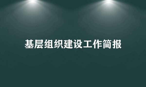 基层组织建设工作简报