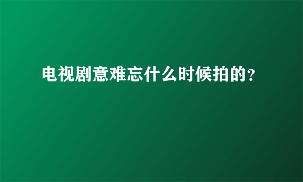 电视剧意难忘什么时候拍的？