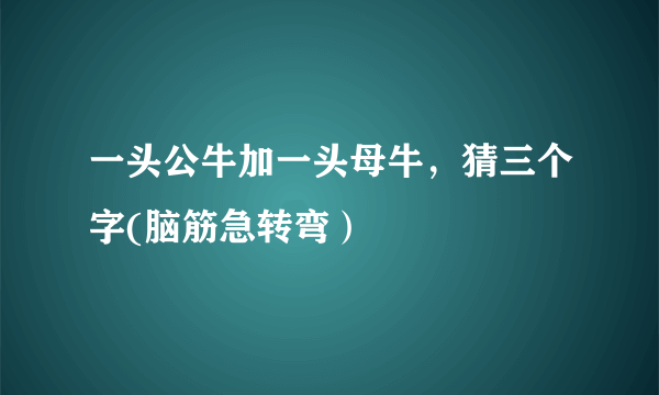 一头公牛加一头母牛，猜三个字(脑筋急转弯）