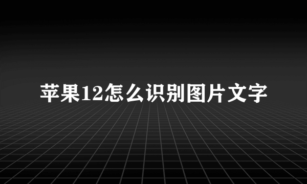 苹果12怎么识别图片文字