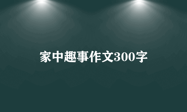 家中趣事作文300字