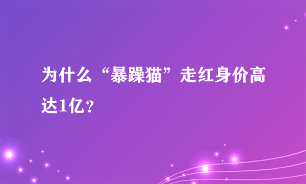 为什么“暴躁猫”走红身价高达1亿？