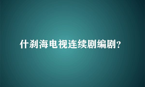 什刹海电视连续剧编剧？