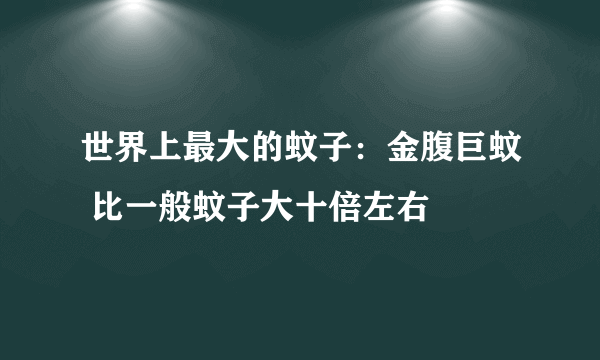 世界上最大的蚊子：金腹巨蚊 比一般蚊子大十倍左右