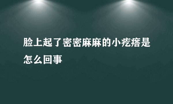 脸上起了密密麻麻的小疙瘩是怎么回事