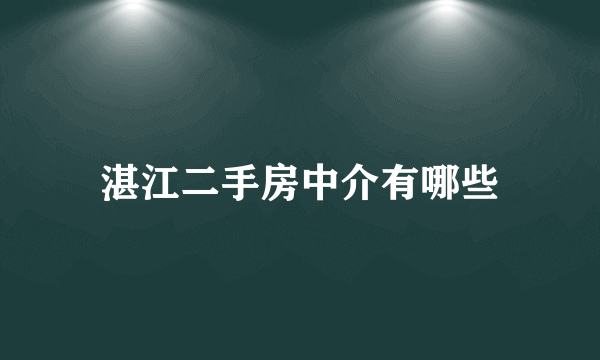 湛江二手房中介有哪些