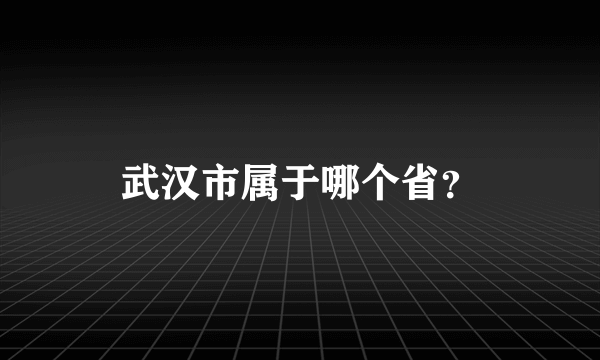 武汉市属于哪个省？