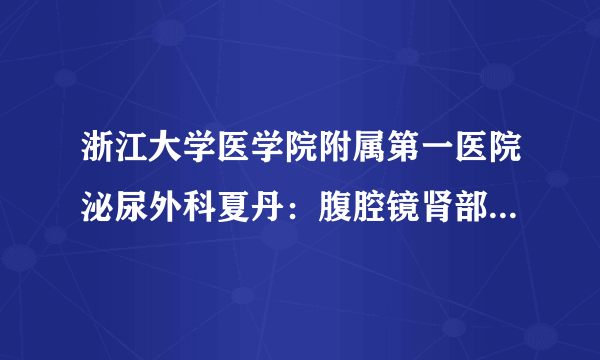 浙江大学医学院附属第一医院泌尿外科夏丹：腹腔镜肾部分切除术