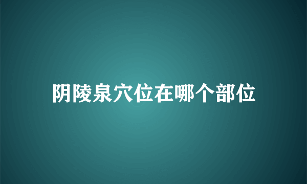 阴陵泉穴位在哪个部位