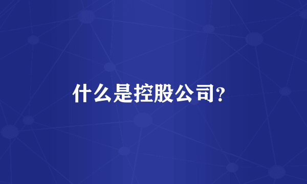 什么是控股公司？