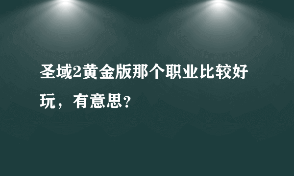 圣域2黄金版那个职业比较好玩，有意思？