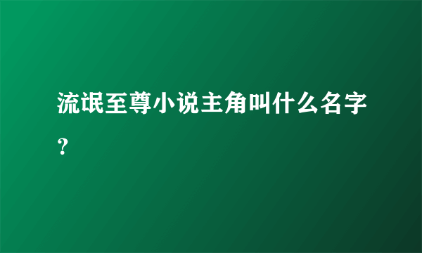 流氓至尊小说主角叫什么名字？