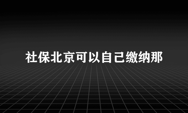 社保北京可以自己缴纳那