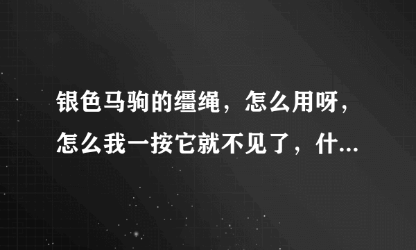 银色马驹的缰绳，怎么用呀，怎么我一按它就不见了，什么时候出来？