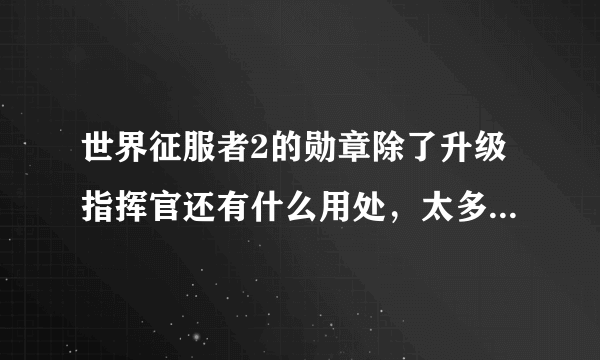 世界征服者2的勋章除了升级指挥官还有什么用处，太多了没地方用啊