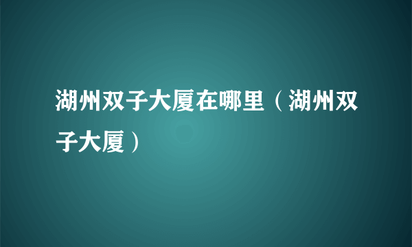 湖州双子大厦在哪里（湖州双子大厦）