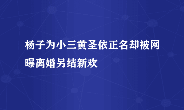 杨子为小三黄圣依正名却被网曝离婚另结新欢