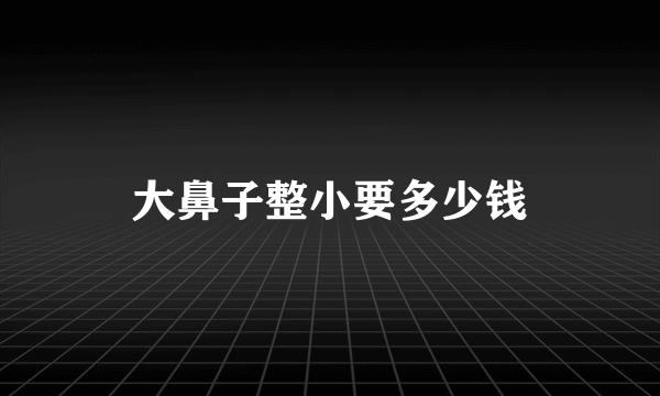 大鼻子整小要多少钱