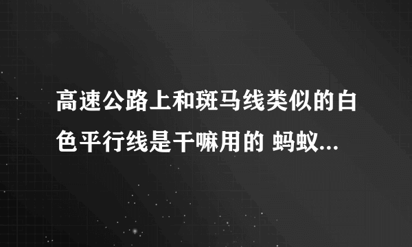 高速公路上和斑马线类似的白色平行线是干嘛用的 蚂蚁庄园今日答题11.27