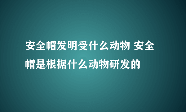 安全帽发明受什么动物 安全帽是根据什么动物研发的