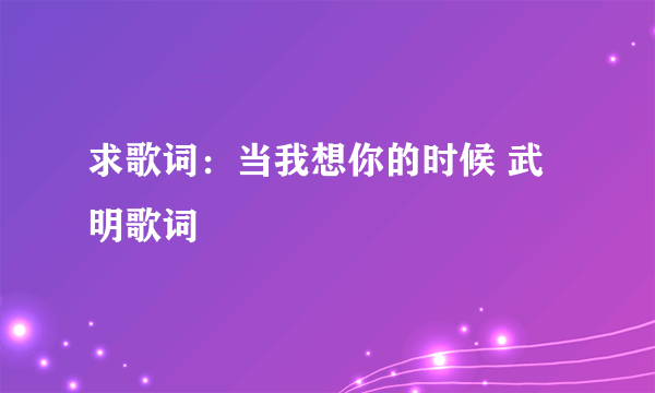 求歌词：当我想你的时候 武明歌词